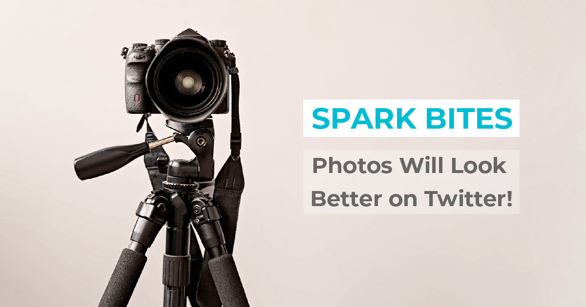 spark bites banner photos will look better on twitter