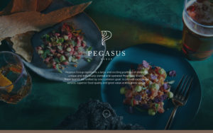 Pegasus Group, Spark Growth website design client