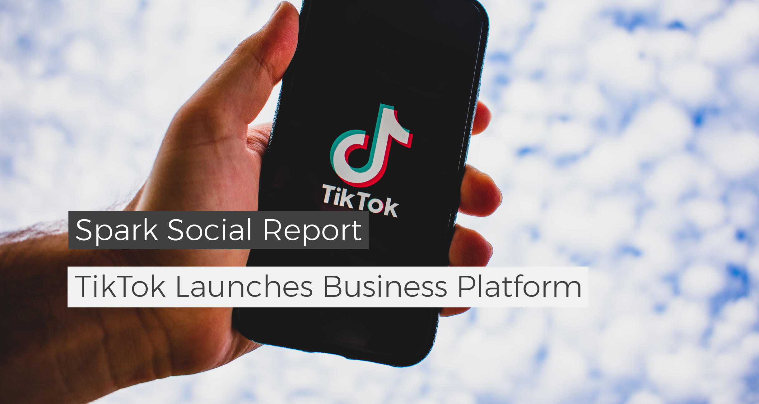 TikTok launches Business Platform