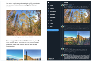 comparison of wordpress article and same article ported to twitter