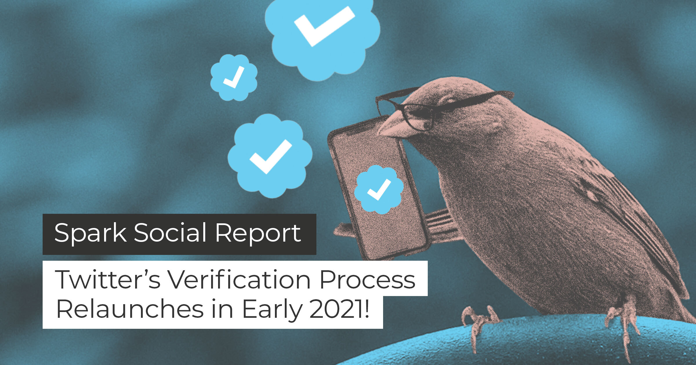 banner featuring bird holding smartphone with copy twitter's verification process relaunches in early 2021