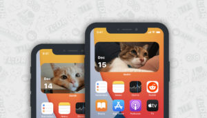 image of reddit's new iOS widget cat calendar